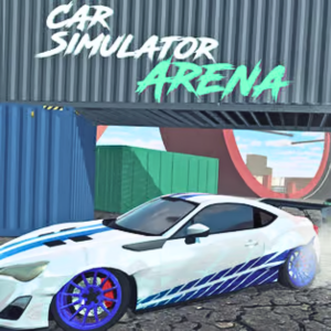 Car Simulator Arena